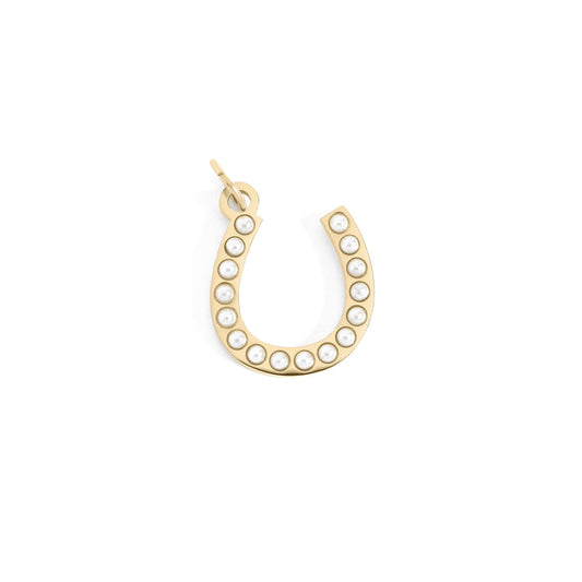 Horseshoe Luck Charm
